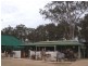 Gumtree Ga 24 Somerset Street, Kingaroy QLD 4610