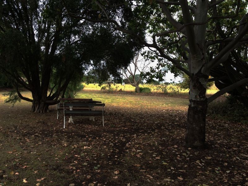 866 Tingoora Chelmsford Road, Greenview QLD 4606