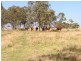 Lot 112 Maize Company Road, Kumbia QLD 4610
