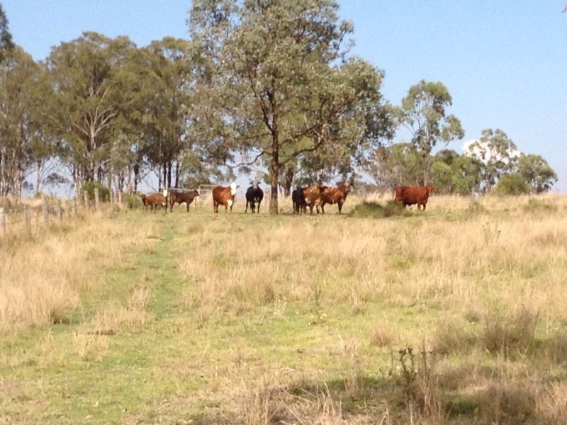 Lot 112 Maize Company Road, Kumbia QLD 4610