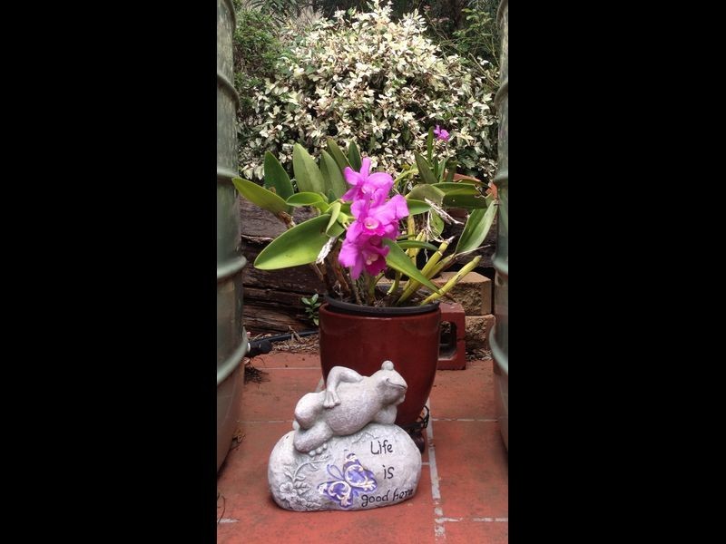 49 Moore Street, Kingaroy QLD 4610