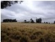 253 (Lot 2 Biels Road, Inverlaw QLD 4610