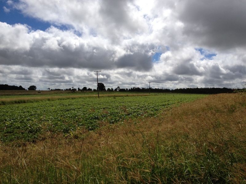 Lot 238 Ellesmere North Road, Ellesmere QLD 4610