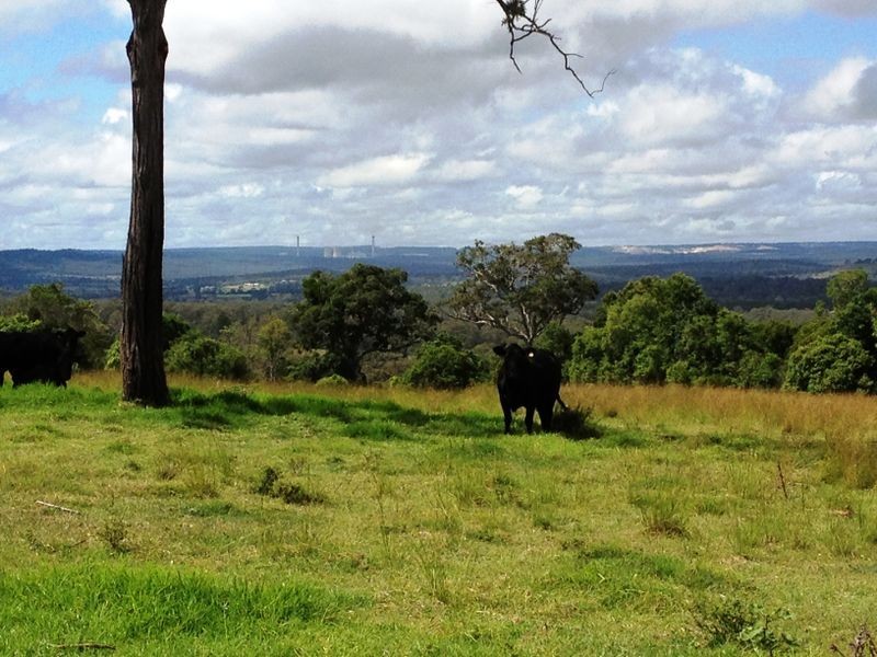 Lot 238 Ellesmere North Road, Ellesmere QLD 4610
