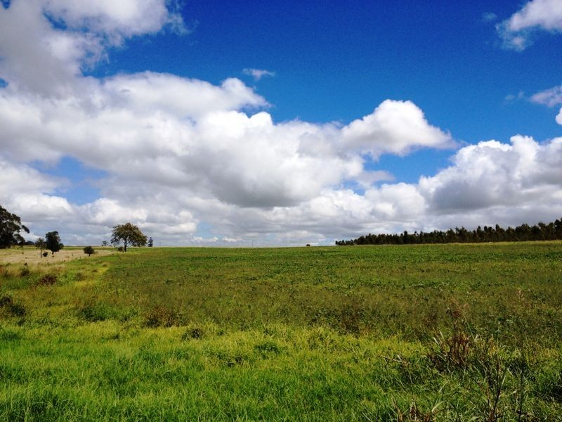 Lot 238 Ellesmere North Road, Ellesmere QLD 4610