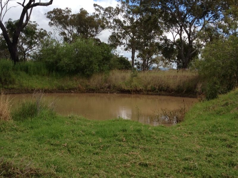 Lot 238 Ellesmere North Road, Ellesmere QLD 4610