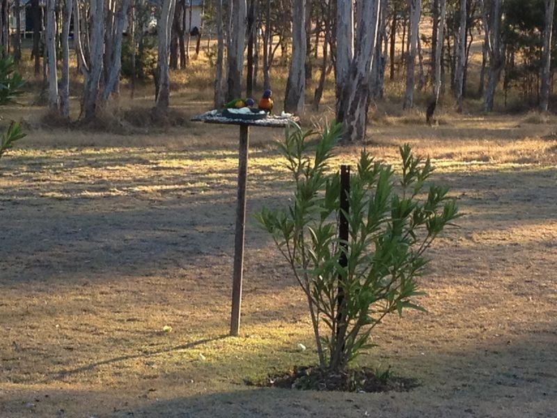 23 Fairway Drive, Nanango QLD 4615