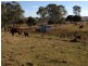71 Lucas Road – (Lot 1 Coolabunia West Rd), Coolabunia QLD 4610