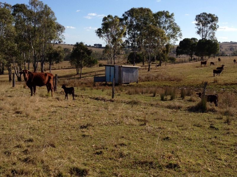 71 Lucas Road – (Lot 1 Coolabunia West Rd), Coolabunia QLD 4610