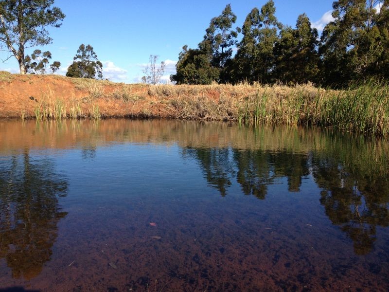 71 Lucas Road – (Lot 1 Coolabunia West Rd), Coolabunia QLD 4610