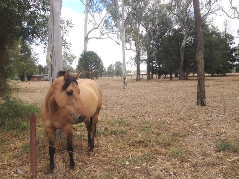 1/ D’Aguilar Highway, Kingaroy QLD 4610