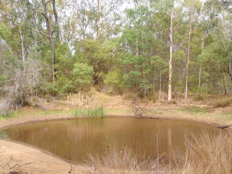 142 Old Rifle Range Road, Nanango QLD 4615