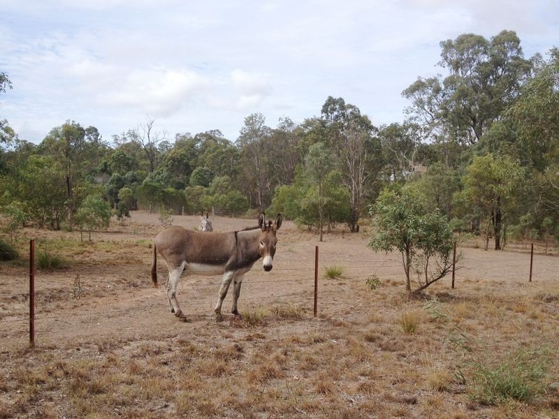 142 Old Rifle Range Road, Nanango QLD 4615