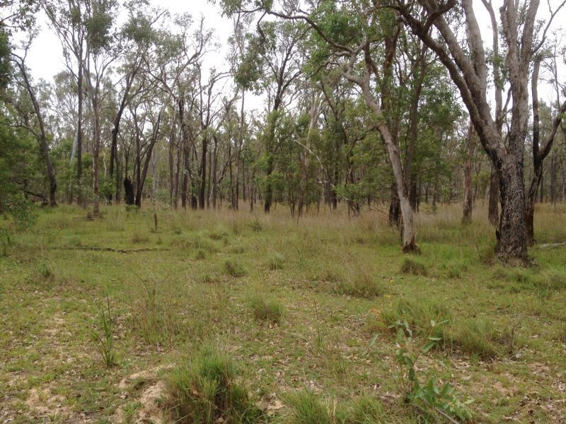 450 Lawsons Broad Road, Coverty QLD 4613