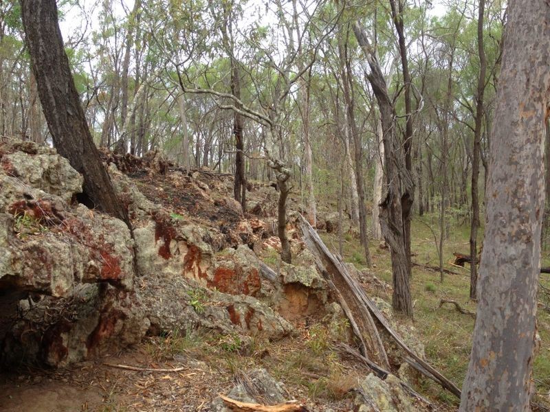 450 Lawsons Broad Road, Coverty QLD 4613