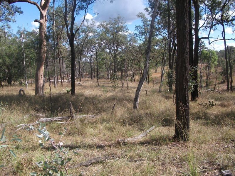 450 Lawsons Broad Road, Coverty QLD 4613