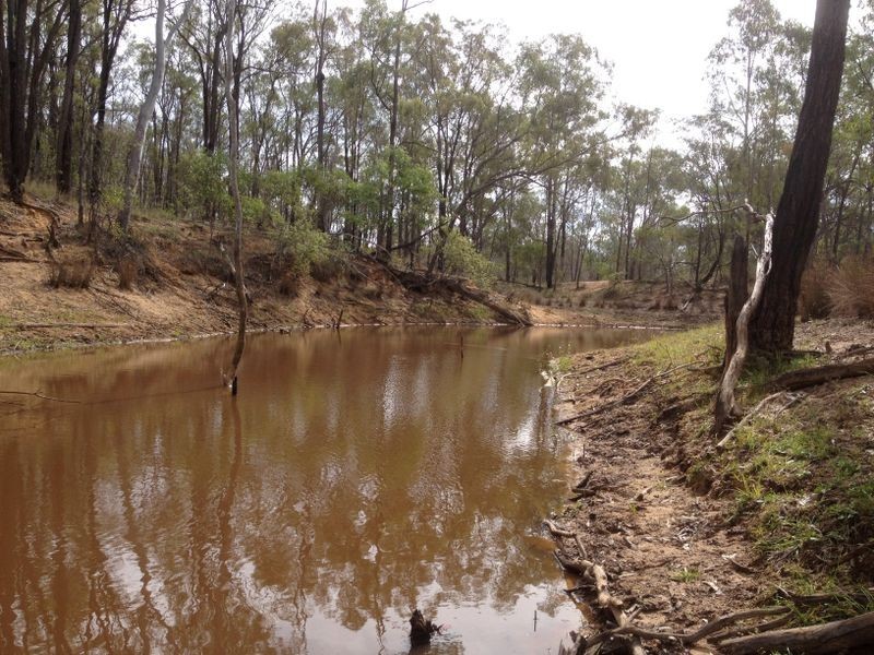 450 Lawsons Broad Road, Coverty QLD 4613