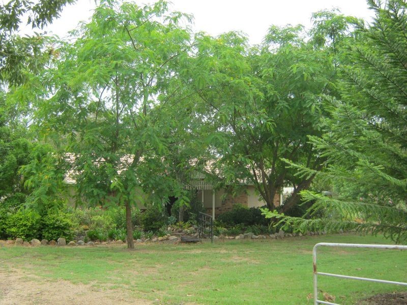 33 Pauls Parade, Ellesmere QLD 4610