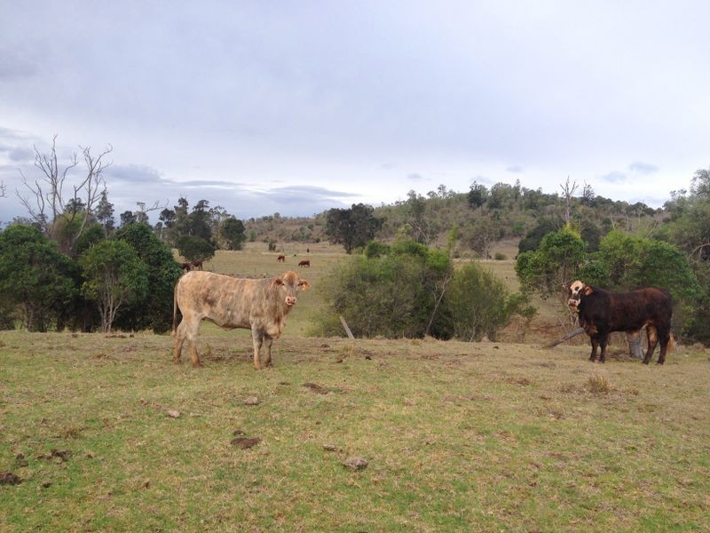 Lot 3 Corndale Road, Corndale QLD 4610