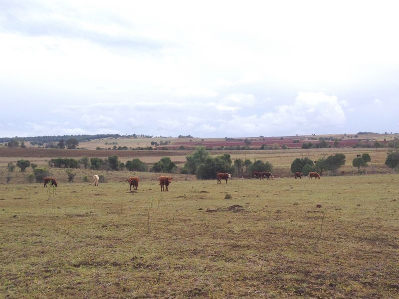 Lot 3 Corndale Road, Corndale QLD 4610