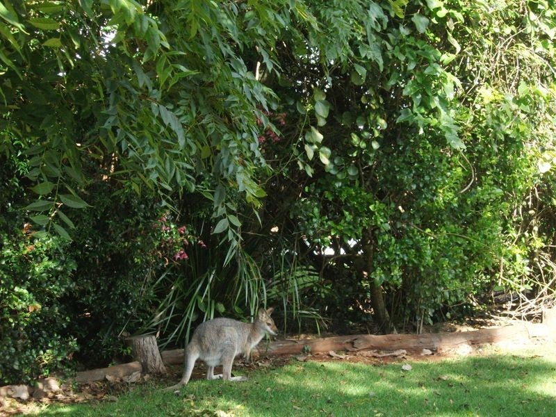 3407 Bunya Mountains Road, Bunya Mountains QLD 4405