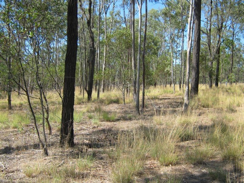 Lot 61 Farr Court, Wattle Camp QLD 4615