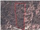 Lot 61 Farr Court, Wattle Camp QLD 4615