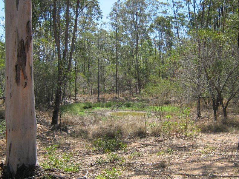 128 McQuire Road, Wattle Camp QLD 4615