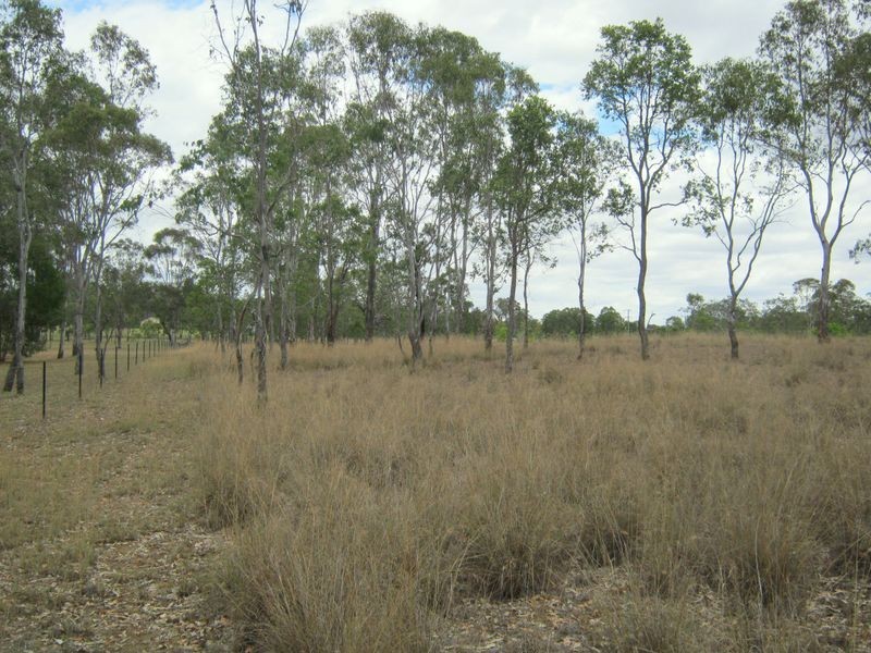 Lot 13 Birch Road, Wattle Camp QLD 4615