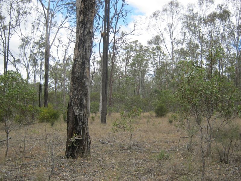 Lot 17 Burkes Rd, Booie QLD 4610