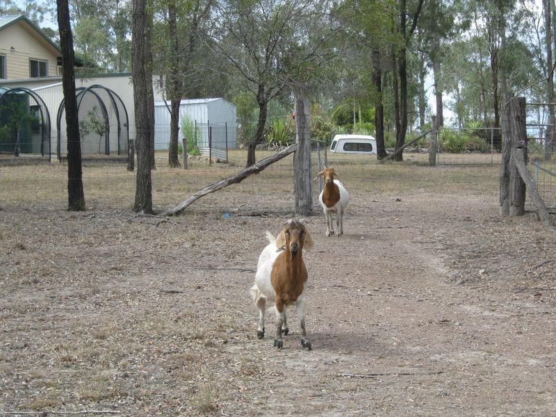 67 Malar Cres, Booie QLD 4610