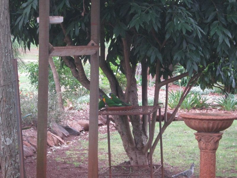 8-12 Gordon Street, Kumbia QLD 4610