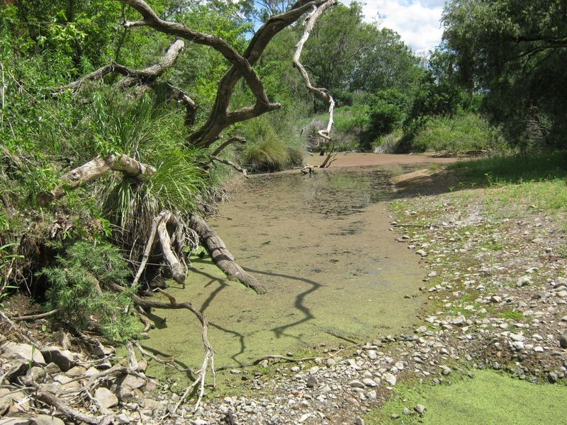 84 Brooklands Pimpimbudgee Rd, Brooklands QLD 4615