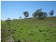 917 Flagstone Creek Road, Haly Creek QLD 4610