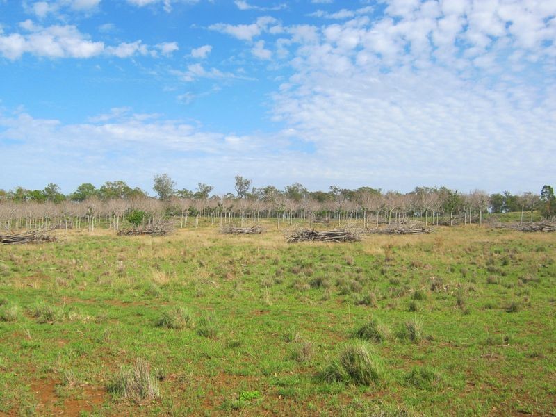 917 Flagstone Creek Road, Haly Creek QLD 4610
