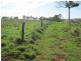 917 Flagstone Creek Road, Haly Creek QLD 4610