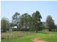 917 Flagstone Creek Road, Haly Creek QLD 4610