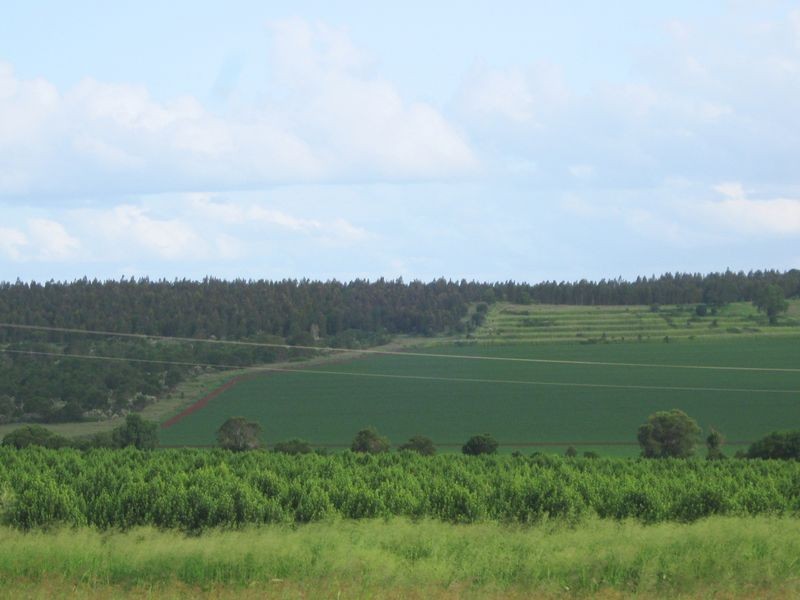 263 Hoggs Rd, Wooroolin QLD 4608