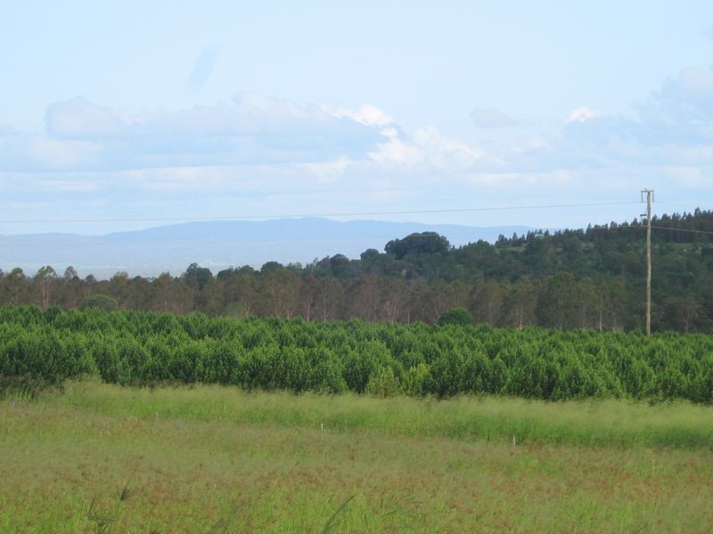 263 Hoggs Rd, Wooroolin QLD 4608