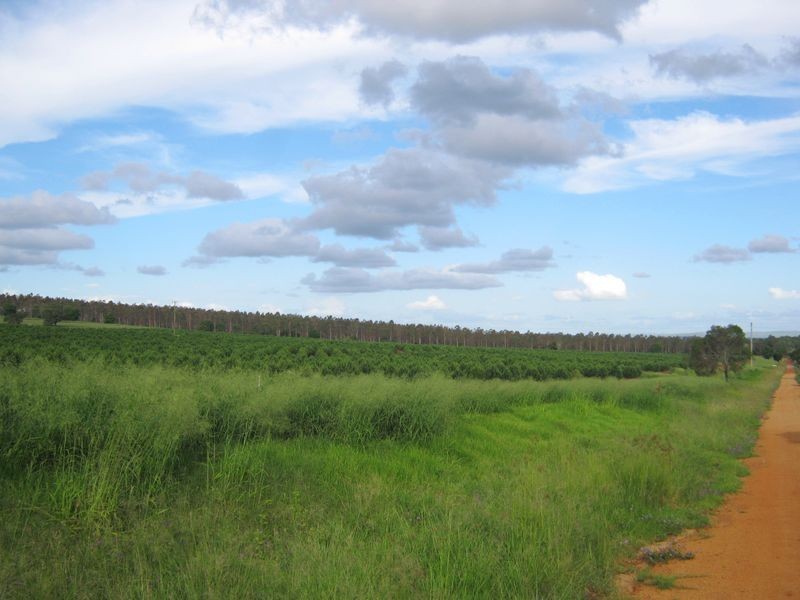 263 Hoggs Rd, Wooroolin QLD 4608