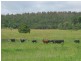 236 Back Creek Road, Proston QLD 4613