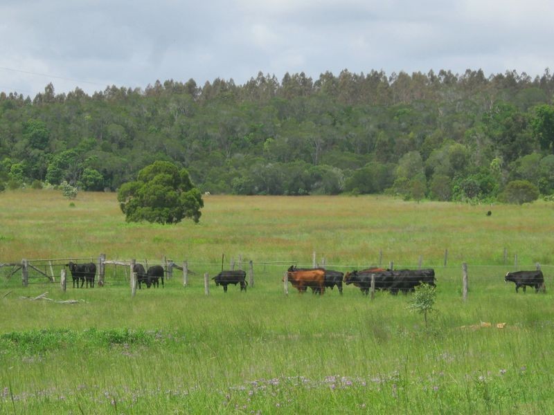 236 Back Creek Road, Proston QLD 4613