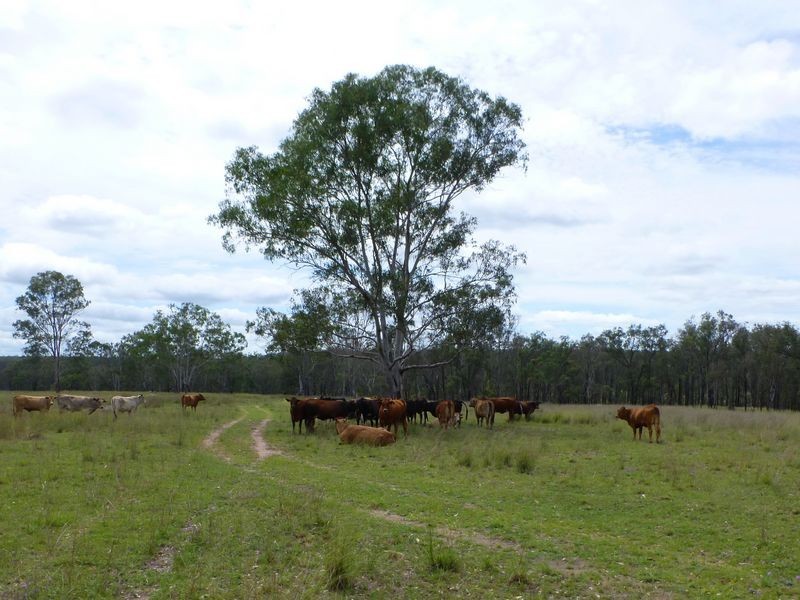 188 Wyuna Road, Gordonbrook QLD 4610