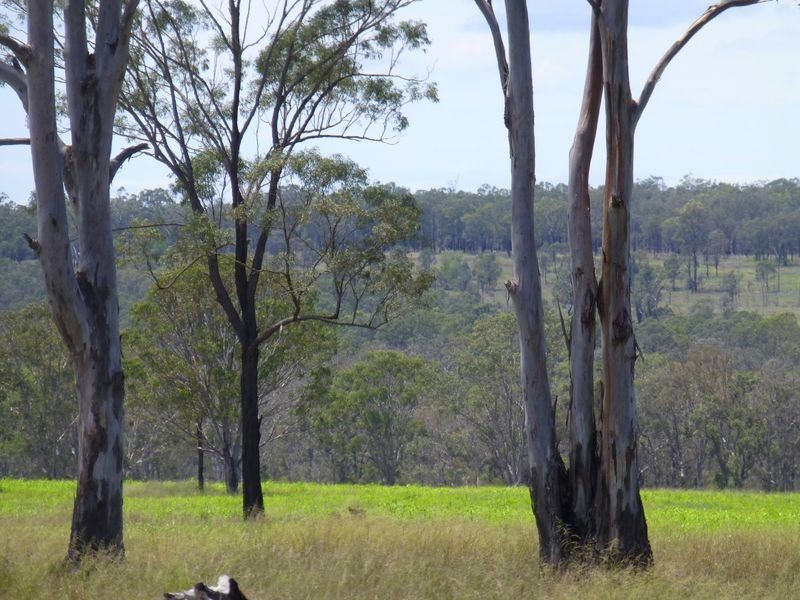 188 Wyuna Road, Gordonbrook QLD 4610