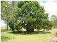 60 Maidenwell Pimpimbudgee Road, Maidenwell QLD 4615