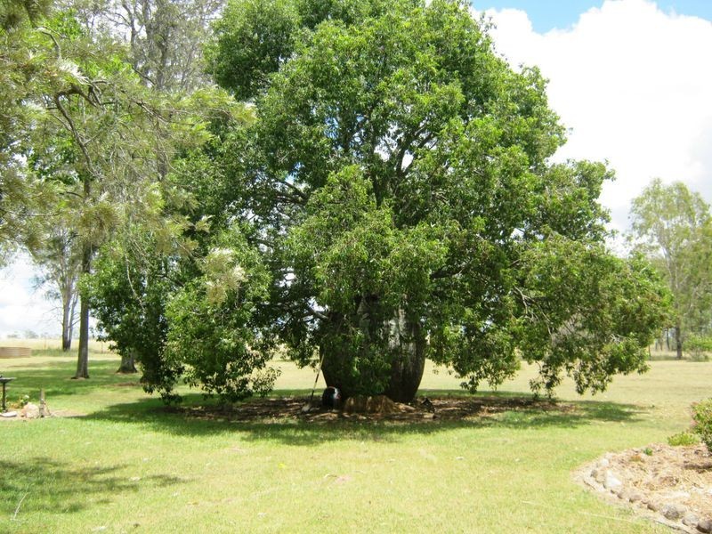 60 Maidenwell Pimpimbudgee Road, Maidenwell QLD 4615