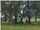 60 Maidenwell Pimpimbudgee Road, Maidenwell QLD 4615