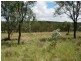 Lot 383 New England Hwy, Cooyar QLD 4402