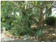 102 Baynes Street, Wondai QLD 4606