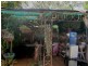 30 Wilkes Road, Wilkesdale QLD 4608